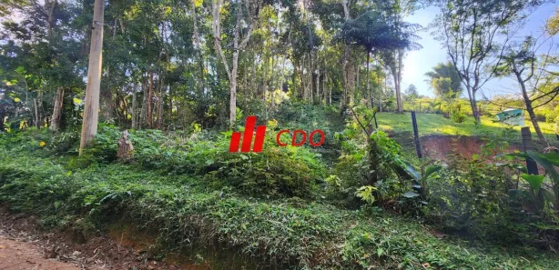 Terreno / Lote / Condomínio à venda, 2554m² no Fazenda Vitoria, São Lourenço da Serra