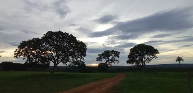 Fazenda / Sítio / Chácara à venda, 300000m² no Centro, Formosa