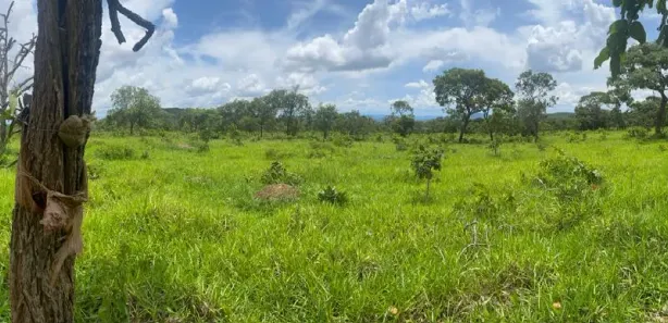 Terreno / Lote / Condomínio à venda, 20000m² no Centro, Pirenópolis