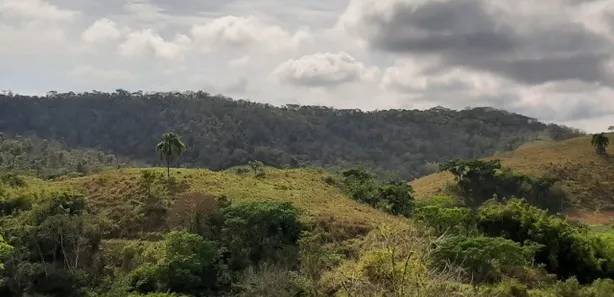 Fazenda / Sítio / Chácara à venda no Dorândia, Barra do Piraí