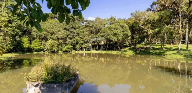Fazenda / Sítio / Chácara com 3 Quartos à venda, 242000m² no , Campina Grande do Sul