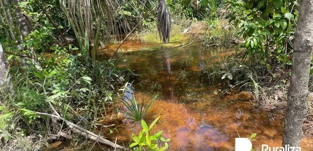 Fazenda / Sítio / Chácara à venda, 290m² no , Ponte Alta do Tocantins