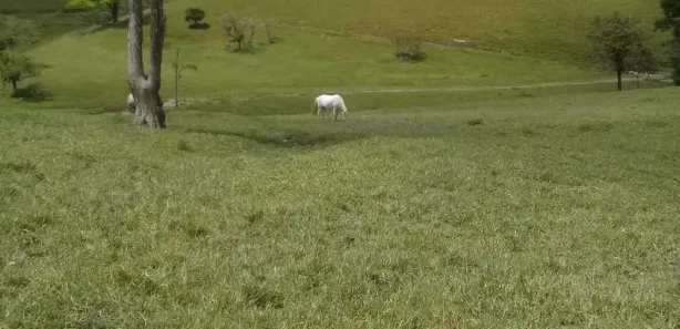 Fazenda / Sítio / Chácara à venda, 950000m² no , Joaquim Gomes