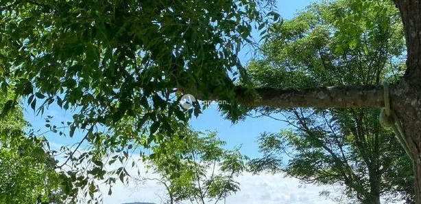 Fazenda / Sítio / Chácara com 2 Quartos à venda, 137m² no Palma, Santa Maria