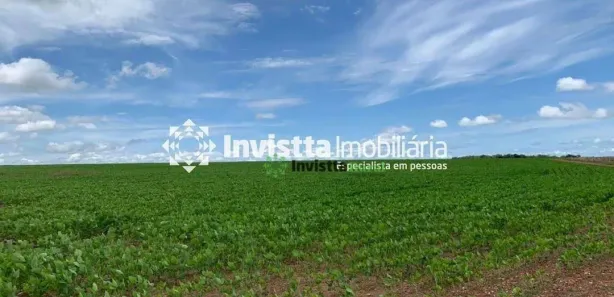 Fazenda / Sítio / Chácara à venda, 683m² no Centro, Divinópolis do Tocantins