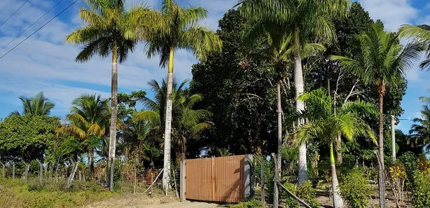 Fazenda / Sítio / Chácara com 4 Quartos à venda, 870000m² no Santa Cruz Cabrália - BA, 45807-000, Santa Cruz Cabrália