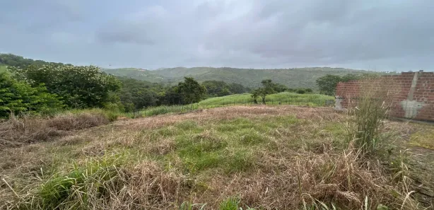 Fazenda / Sítio / Chácara com 3 Quartos à venda, 155000m² no Nossa Senhora do Carmo, Pombos