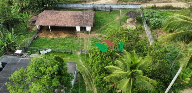 Fazenda / Sítio / Chácara com 3 Quartos à venda, 250m² no Povoado, Alhandra