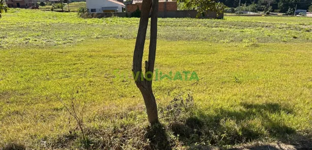Terreno / Lote / Condomínio à venda, 300m² no , Floresta
