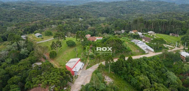 Fazenda / Sítio / Chácara com 10 Quartos à venda, 34360m² no Palmitalzinho, Quatro Barras