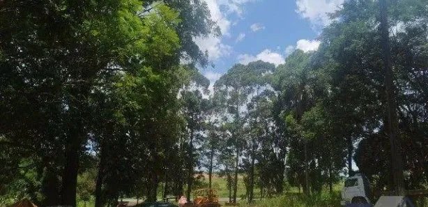 Fazenda / Sítio / Chácara à venda, 10000m² no Loteamento Jardim Real, Guaraniaçu