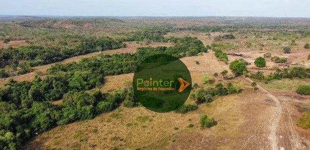 Fazenda / Sítio / Chácara à venda, 19166400m² no , Lagoa da Confusão