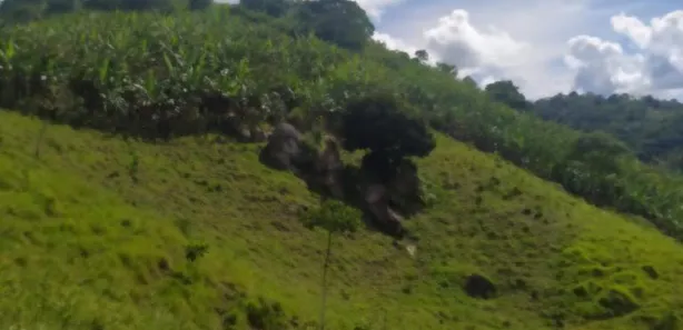 Fazenda / Sítio / Chácara à venda, 25000m² no , Bananeiras