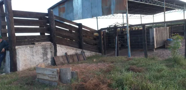 Fazenda / Sítio / Chácara à venda, 86757000m² no , Guaraí