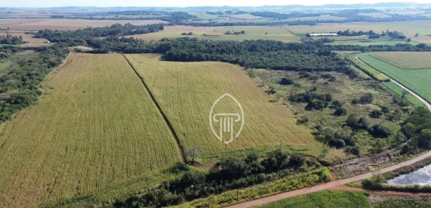 Fazenda / Sítio / Chácara à venda, 435600m² no Cruzeiro do Norte, Uraí