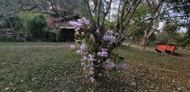 Fazenda / Sítio / Chácara com 5 Quartos à venda, 300m² no Visconde de Mauá, Resende