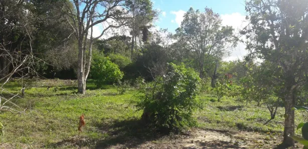 Fazenda / Sítio / Chácara com 1 Quarto à venda, 200m² no Alpes Suiços, Gravatá