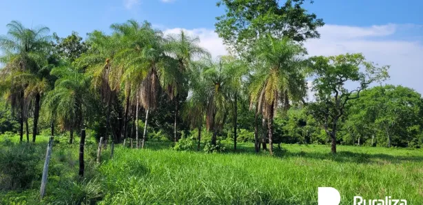 Fazenda / Sítio / Chácara à venda, 150m² no , Paraíso do Tocantins