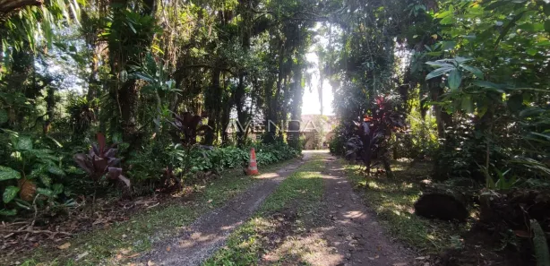 Fazenda / Sítio / Chácara com 3 Quartos à venda, 4982m² no Balneário Ipanema, Pontal do Paraná