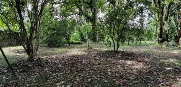 Fazenda / Sítio / Chácara com 3 Quartos à venda, 2160m² no Gaivota (Interior), Itanhaém