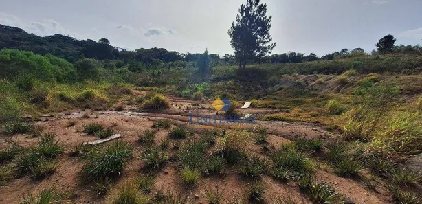 Terreno / Lote / Condomínio à venda, 575m² no Centro, Campina Grande do Sul