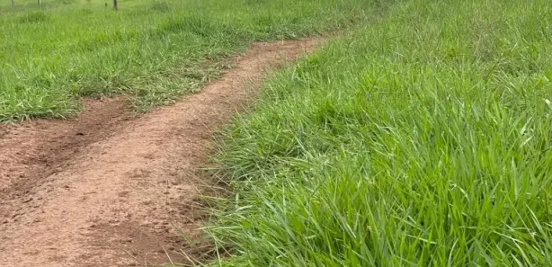 Fazenda / Sítio / Chácara com 1 Quarto à venda, 190000000m² no Bezerra, Formosa