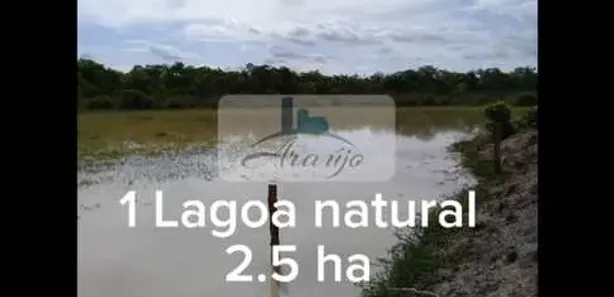 Fazenda / Sítio / Chácara com 1 Quarto à venda, 36m² no , Paranã