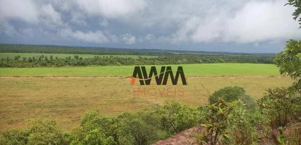 Fazenda / Sítio / Chácara à venda, 29999772m² no , Pedro Afonso