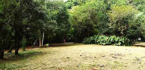 Fazenda / Sítio / Chácara com 1 Quarto à venda, 12900m² no , Antonina