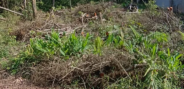 Terreno / Lote / Condomínio à venda, 1502m² no Parque Rio Grande, Rio Grande da Serra