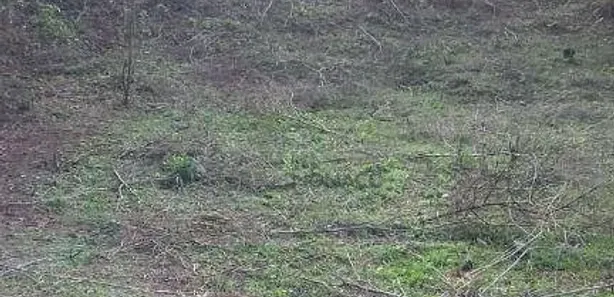 Terreno / Lote Comercial à venda, 24200m² no Pinheiro, Ibiporã