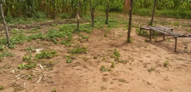 Fazenda / Sítio / Chácara à venda, 40000000m² no , São Braz do Piauí