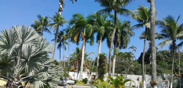 Fazenda / Sítio / Chácara com 4 Quartos à venda, 3500m² no Sepetiba, Rio de Janeiro
