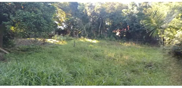 Fazenda / Sítio / Chácara à venda, 1922m² no Jardim Amélia, Pinhais