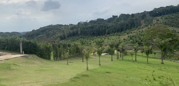 Fazenda / Sítio / Chácara com 3 Quartos à venda, 260000m² no Taiaçupeba, Mogi das Cruzes