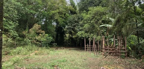 Terreno / Lote / Condomínio à venda, 17438m² no Colônia Santo Antônio, Barra Mansa