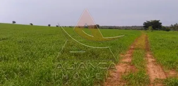 Fazenda / Sítio / Chácara com 6 Quartos à venda, 95287500m² no Guaraí, Guaraí