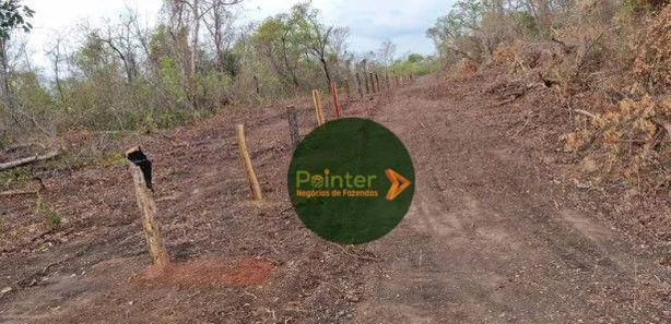 Fazenda / Sítio / Chácara à venda, 1360000m² no , Paranã