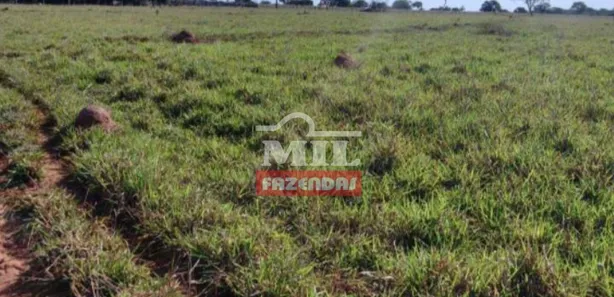 Fazenda / Sítio / Chácara à venda no Área Rural de Formosa, Formosa