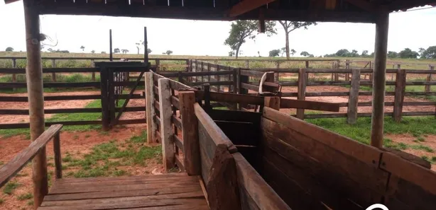 Fazenda / Sítio / Chácara à venda, 500m² no , Lagoa Santa