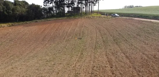Fazenda / Sítio / Chácara com 1 Quarto à venda, 12312m² no Botiatuva, Campo Largo