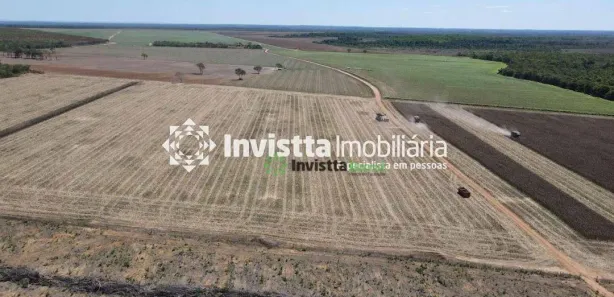 Fazenda / Sítio / Chácara à venda, 368m² no , Pedro Afonso