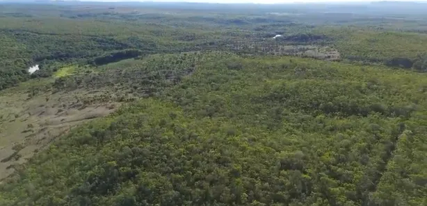 Fazenda / Sítio / Chácara à venda, 175m² no , Ponte Alta do Tocantins