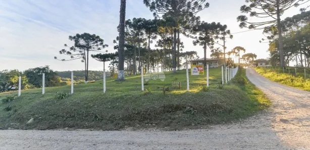 Fazenda / Sítio / Chácara com 3 Quartos à venda, 216m² no Palmeirinha, Campina Grande do Sul