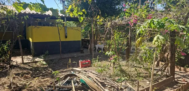 Fazenda / Sítio / Chácara com 2 Quartos à venda, 2766m² no , Aquidauana