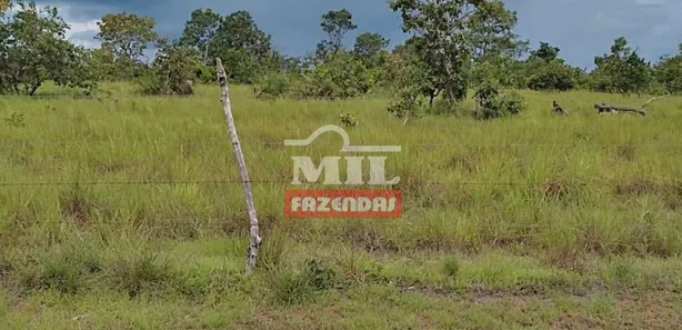 Fazenda / Sítio / Chácara à venda, 2444m² no , Santa Maria do Tocantins