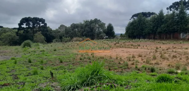 Terreno / Lote / Condomínio à venda, 22950m² no Rondinha, Campo Largo