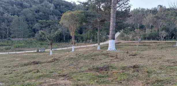 Fazenda / Sítio / Chácara com 3 Quartos à venda, 250m² no Rio Branco do Sul, Rio Branco do Sul