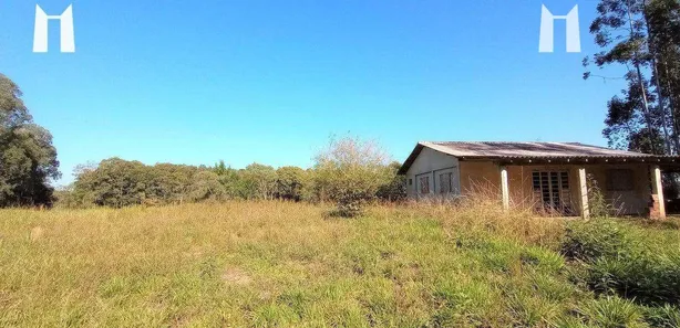Fazenda / Sítio / Chácara com 1 Quarto à venda, 60m² no Centro, Campo Largo