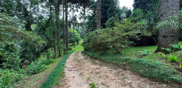 Fazenda / Sítio / Chácara à venda, 11141m² no Mato Dentro, Almirante Tamandaré